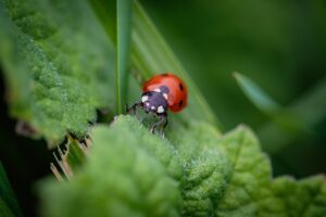 ハイクラス婚活で気をつけるべき注意点は？